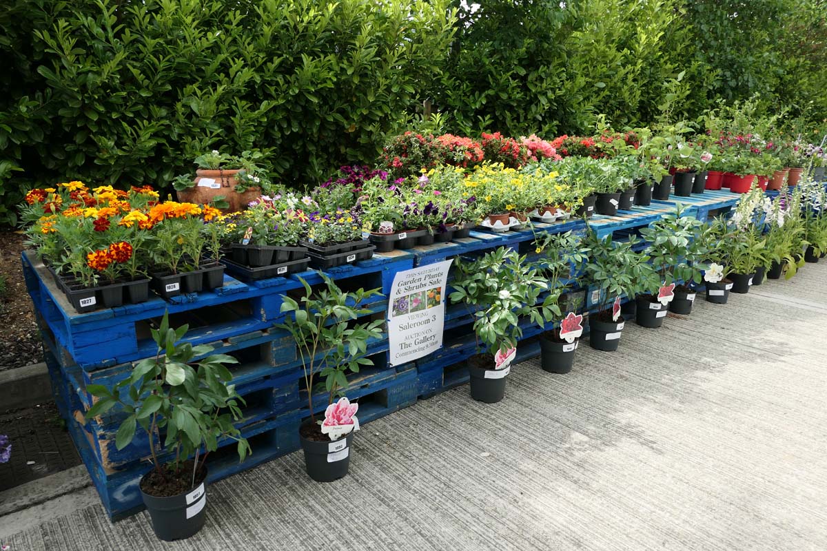 Bedford Weekly Auction