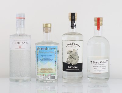 Lot 162 - 4 bottles of Gin, 1x Sine a Phluic "The Gin of...