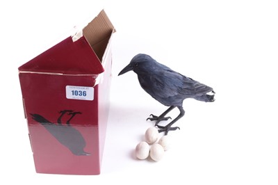 Lot 1036 - 'Calling Crow' feathered dummy with 4 dummy eggs