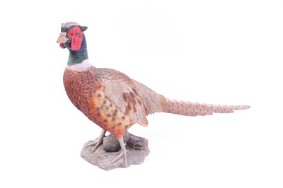 Lot 1056 - Lifesize resin model of a pheasant