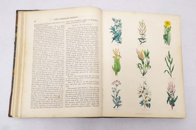 Lot 211 - The Complete Herbal by Nicholas Culpeper MD...