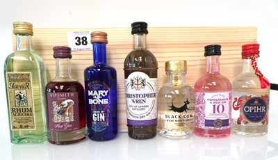 Lot 38 - 7 assorted 5cl miniatures of Gin & Rum