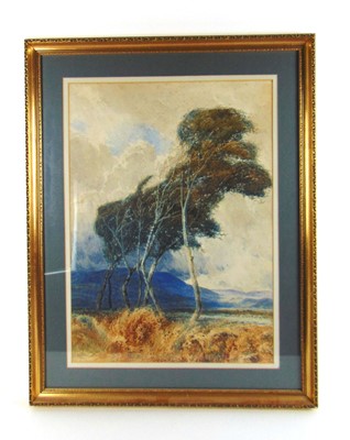 Lot 165 - John Keeley, RBSA (1849-1930), Trees in the...