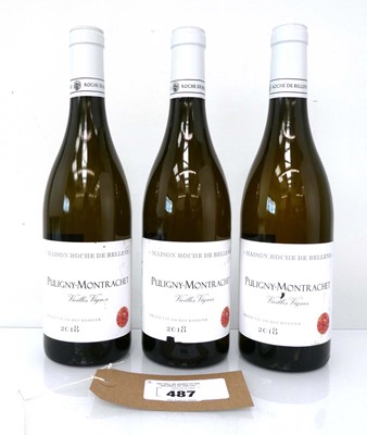 Lot 316 - 3 bottles of 2018 Nicolas Potel Maison Roche...