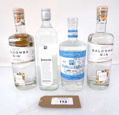 Lot 113 - 4 bottles of Gin, 2x Salcombe London Dry Gin...
