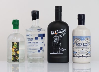 Lot 62 - 4 various bottles of gin, 1x Stirling...