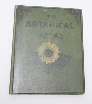 Lot 153 - D M'Alpine FCS: 'The Botanical Atlas',...