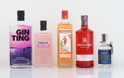 Lot 67 - 5 various bottles, 1x Gin Ting Premium Dry Gin...