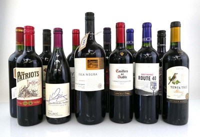 Lot 323 - 12 bottles of Red, 1x Magnum of Isla Negra...