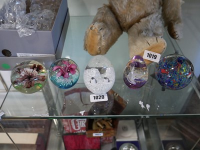 Lot 1020 - 5 coloured glass paperweights in various patterns