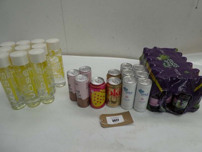 Lot 3627 - Voss sparking water, Fruit shoots, Mola Chill...