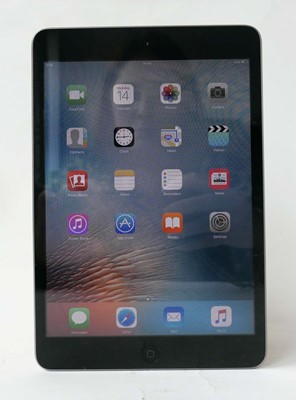 Lot iPad Mini 16GB Space Grey