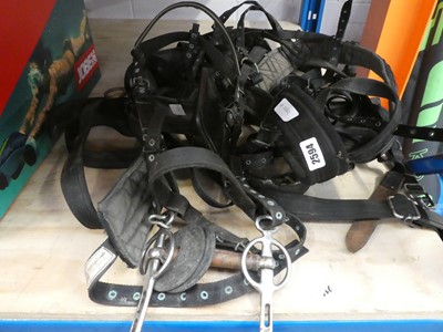 Lot 2594 - Driving horse harness (13-14 hands)