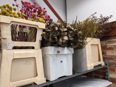 Lot 381 - Shelf of dried flowers and small number of...