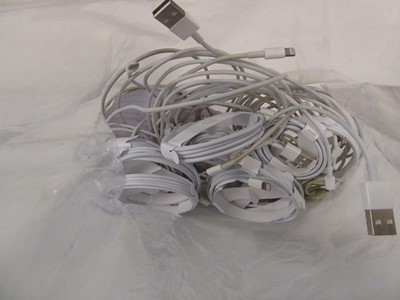 Lot 2142 - Bag containing USB charging cables for Apple...