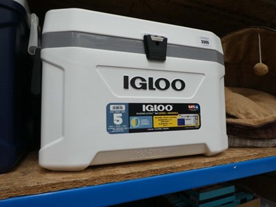 Lot 3365 - Igloo cooler box combo