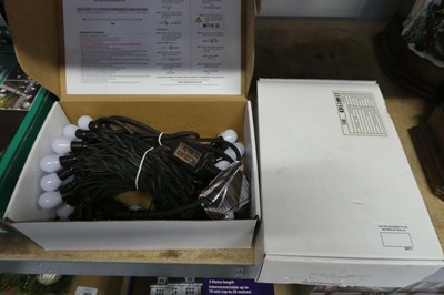 Lot 2031 - 2 boxes of approx. 240 ice white LED Christmas...