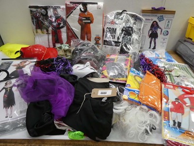 Lot 3603 - Selection of fancy dress costumes and accessories