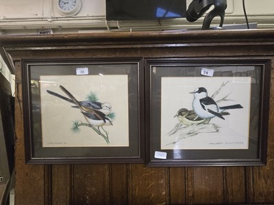 Lot 38 - A pair of framed and glazed possible...