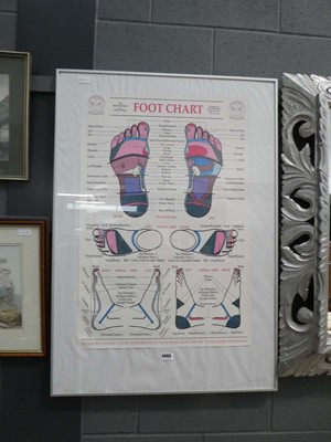 Lot 5063 - Reflexology foot chart