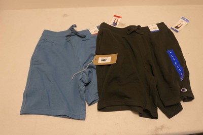 Lot 3457 - 15 pairs of Champion shorts