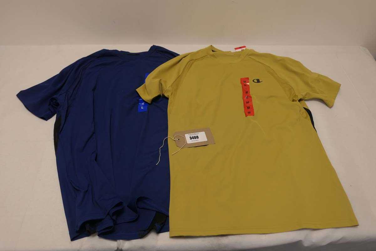 Lot 3460 - 15 Champion T-shirts