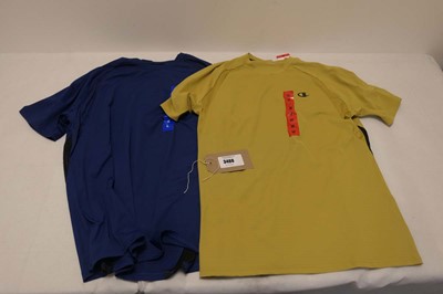 Lot 3460 - 15 Champion T-shirts