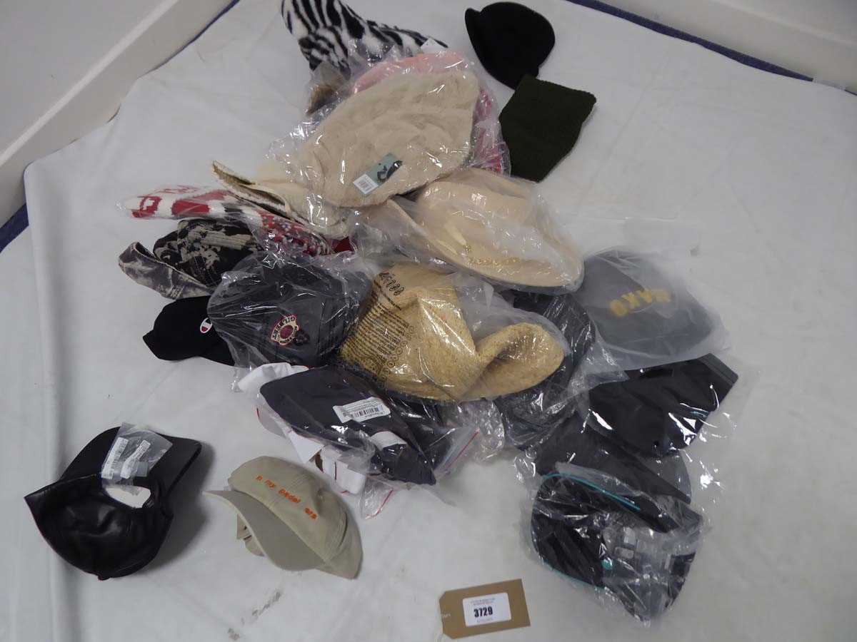 Lot 3729 - Selection of various hats