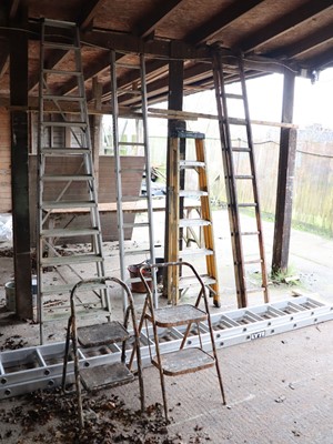 Lot 62 - Lyte aluminium double-extending ladder, a...