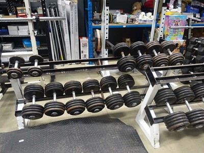 Lot 3002 - 11 pairs of heavy commercial dumbbells plus 2...