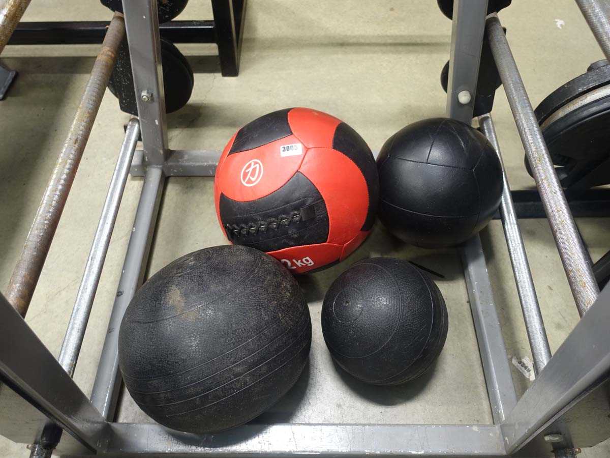 Lot 3005 - 2kg and 12kg squat ball together with 2 heavy...