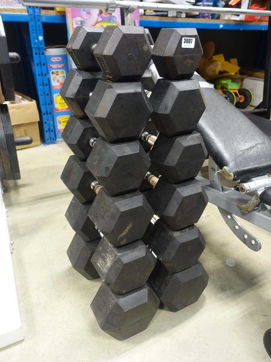 Lot 3007 - 6 pairs of hexagon dumbbells: pair of 8kg,...