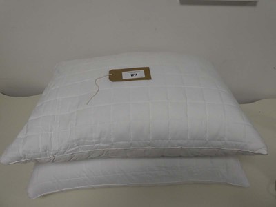 Lot 1317 - A pair of Hotel Grand memory foam pillows.