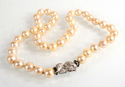 Lot 683 - A single strand cultured pearl necklace with...