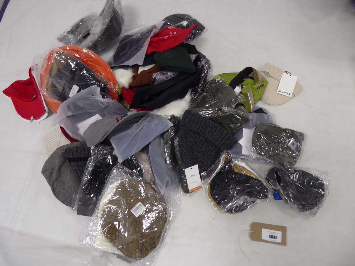 Lot 3830 - Selection of various hats