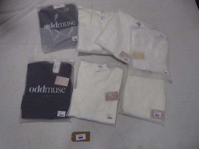 Lot Selection of Odd Muse clothing