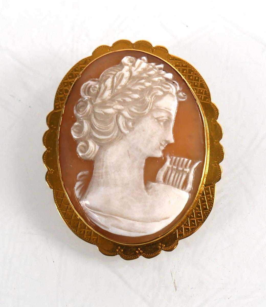 Lot 712 - A 9ct yellow gold mounted cameo brooch of oval...