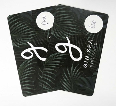 Lot 228 - Gin Spa (x2) - Total face value £150