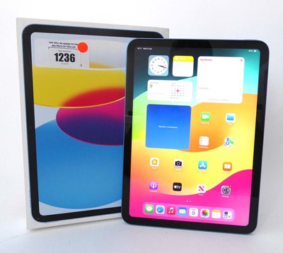 Lot Apple iPad (10th Generation) Wi-Fi, 64GB, Blue,...