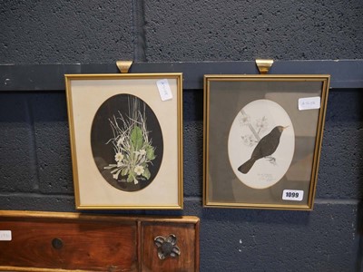 Lot 1130 - 2 small framed oval prints, blackbird on...