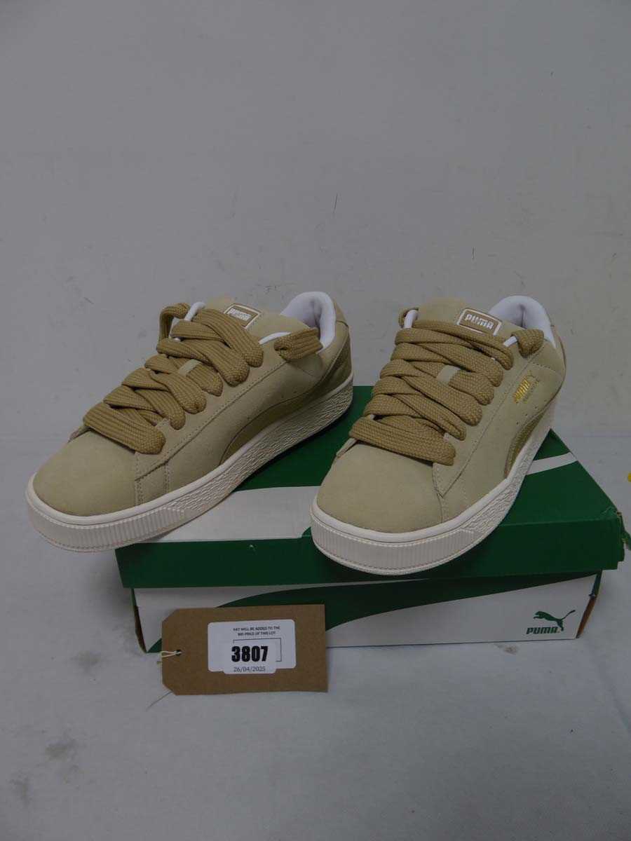 Lot 3807 - Boxed pair of Puma Suede XL, putty/warm white,...