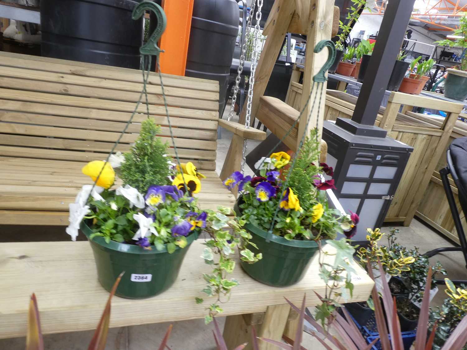 Lot 2364 - Pair of hanging baskets of mixed plants