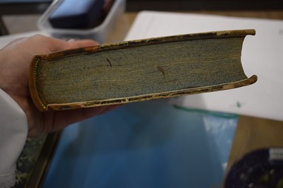 Lot 58 - 'A History of Birds', the figures engraved on...