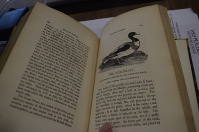 Lot 58 - 'A History of Birds', the figures engraved on...