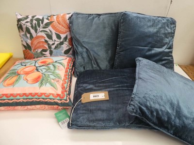Lot 3521 - 2 outdoor cushions and 4 scatter cushions