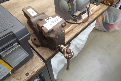 Lot 4646 - Samsonia Perfect vice