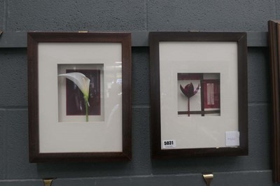 Lot 5031 - Pair of floral wall hangings with lily and leaf
