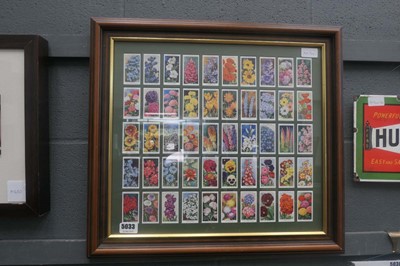Lot 5033 - Floral themed cigarette card picture