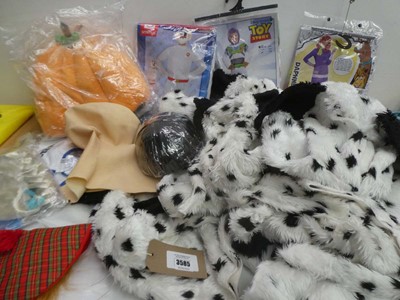 Lot 3585 - Fancy dress costumes, masks and wig
