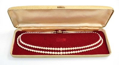 Lot 546 - A double strand graduated cultured pearl...